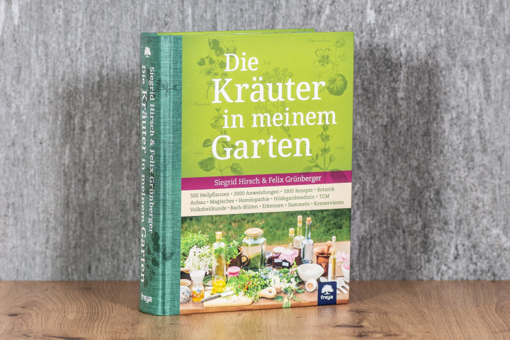  Die Kräuter in meinem Garten